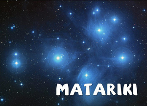 Matariki Holiday Friday 28th June